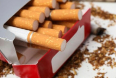 Cukai Rokok Diprediksi Naik 5 Persen, Tahun Depan Harga Rokok Bakal Naik Lagi