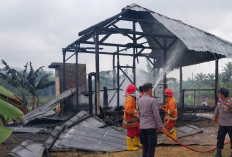 Ditinggal Panen Ikan, Rumah Ludes Terbakar, Anak Nyaris Jadi Korban