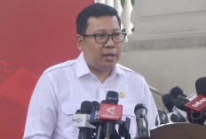 Prabowo Copot Kepala Badan Pangan, Tunjuk Amran Sulaiman Sebagai Pengganti