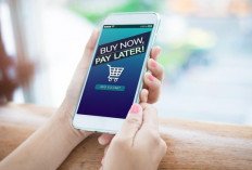 Utang Paylater Masyarakat  RI Tembus Rp30 Triliun