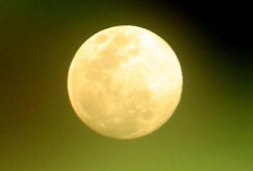 Langit Lampung Akan Dihiasi Purnama ‘Flower Moon’ Malam Ini, Begini Penjelasannya