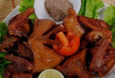 Manfaat Daging Burung Puyuh bagi  Kesehatan dan Penuh Nutrisi