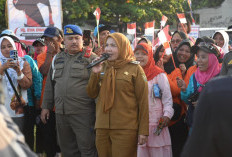 Peringati Hari Kemerdekaan RI, Pemkot Bandar Lampung Akan Bagi-bagi Bendera