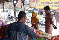 Harga Bahan Pokok di  Pesbar Relatif Stabil, Cabai Mulai Turun