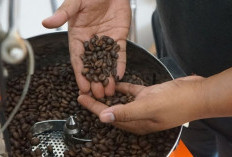 Kopi Indonesia di Panggung Dunia: Suradi dan Komitmennya pada Petani Lokal