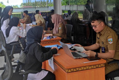 CPNS 2024 Mulai Lakukan Pemberkasan di BKPSDM