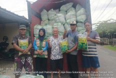 6.280 Hektar Sawah di Pesbar  Terima Bantuan Benih Padi