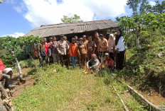 Konflik dengan Harimau, Penggarap TNBBS Diminta  Tidak Bermalam di Kebun