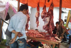 Hasil Pengawasan di Pasar Tradisional si Pesisir Barat, Daging Hingga Telur Aman dan Layak Dikonsumsi