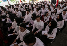 1.967 CPNS 2024 Mundur  Apa yang Terjadi dengan Dunia Per-PNS-an?