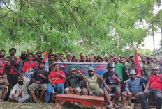 KNPB Desak TNI-Polri Hentikan Penggunaan Bom di Wilayah Konflik Papua