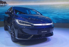 Penurunan Penjualan Mobil Listrik di Indonesia: BYD M6 Tertinggi, Binguo EV Turun