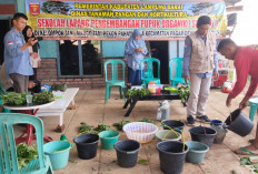 Poktan Margo Tani Diberikan Sekolah Lapang