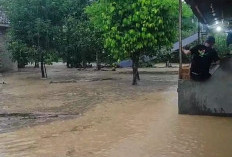 Banjir Kelurahan Pasar Krui, Ratusan Rumah-Fasilitas Umum Terdampak