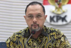 KPK Temukan Sejumlah Uang Saat Geledah Rumah Djan Faridz dalam Kasus Harun Masiku