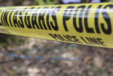 Warga Sergai Geger, Kerangka Manusia Ditemukan di Dalam Batang Pohon Aren