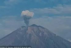 Gunung Semeru Erupsi, Lontarkan Abu Setinggi 1.200 Meter