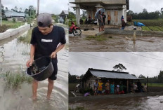 Protes Banjir Tak Kunjung Ditangani, Warga Jadikan Jalan Liwa- Ranau 'Kolam Pemancingan Lele' 