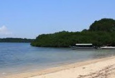 Menikmati Keindahan Pantai Bama di Banyuwangi
