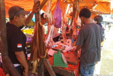 Harga Daging Sapi-Ayam  di Pesisir Barat Masih Stabil