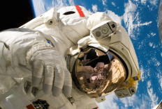 Empat Astronaut Crew-10 Pulang ke Bumi Setelah Lima Bulan di ISS