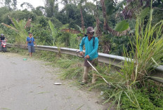 Aparat Pekon Mutaralam Bersihkan Rumput di Jalan 