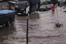 Genangan Air Masih Menghambat  Mobilitas di Jalan Liwa-Batas Sumsel