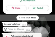 Hati-hati! Penipuan via WhatsApp, Pelaku Kerap Gunakan Foto Pejabat 