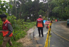 Cek Kondisi 2 Dua Titik Jalan Amblas, BPJN Lampung Pastikan Tak Tunda Penanganan 