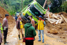 Longsoran di Jalur Liwa-Krui Kembali Timbulkan Masalah, BPJN : Penanganan Permanen Ditarget Februari 