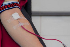 Rutin Melakukan Donor Darah, Baik Bagi Kesehatan Tubuh Pendonor