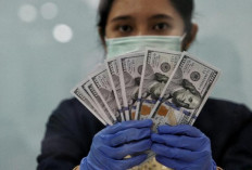 Cadangan Devisa RI Turun Jadi US$148,7 Miliar pada September 2025