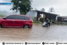 Tanggulangi Banjir Jalan Liwa-Ranau, Tim URC UPTD V Segera Turunkan Alat Berat