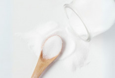 Apa Itu Maltodextrin dan Bagaimana Pengaruhnya bagi Kesehatan?