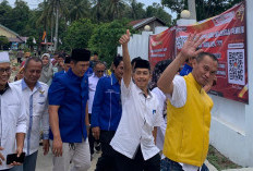 Golkar Pesisir Barat 