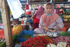 Harga Cabai Merah Tembus Rp70 Ribu,  Komoditas Lain Mulai Merangkak Naik