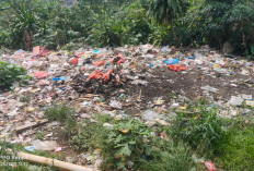 Pemkab Lampung Barat Diminta Bertindak Atasi Masalah Sampah di Pasar Bungin