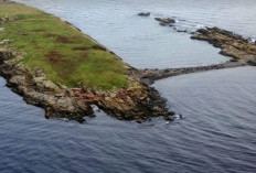 10 Tempat Terlarang di Dunia yang Tak Boleh Dikunjungi, Termasuk Pulau Ular di Brasil dan Gua Kuno di Prancis