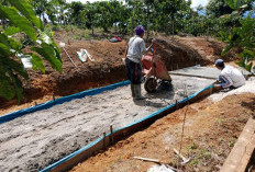 Dorong Akses Perkebunan, Campangtiga Bangun 2 Titik Jalan Produksi