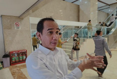 Komisi III DPR Bentuk Panja untuk Menangani Pengaduan Impor Ilegal