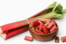 6 Manfaat Rhubarb yang Perlu Diketahui   