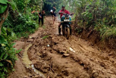 Pemkab Percepat Peningkatan Akses Jalan Menuju Way Haru  