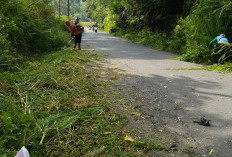 Jalan Menyempit, Risiko   Kecelakaan Meningkat 