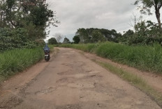 Ruas Jalan Sekincau-Waspada, Kelanjutan Pembangunan Jalan Dinantikan di 2025 