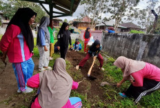 Kebun Kolektif, Upaya Mandiri Mendukung Ketahanan Pangan