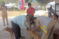 SATU WARGA TERKENA GIGITAN HPR, Puskeswan Gerak Cepat Lakukan Vaksinasi Rabies