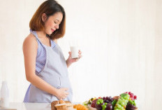 Jenis Makanan Yang Baik Untuk Ibu Hamil Pada Trimester Kedua