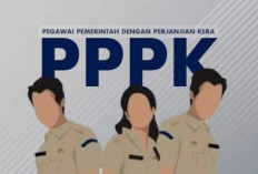 Rekrutmen PPPK Tahap 2 Jadi Solusi Bagi Honorer yang Belum Lulus