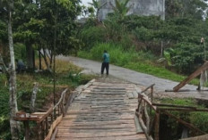 Tigajaya Bangun Jembatan Darurat,  Kadis PUPR Lambar Beri Apresiasi 
