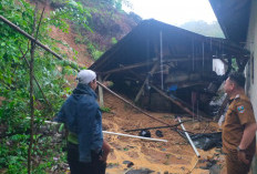 Material Longsor Tutupi Jalan Utama Liwa-Krui, Satu Rumah Terkena Dampak